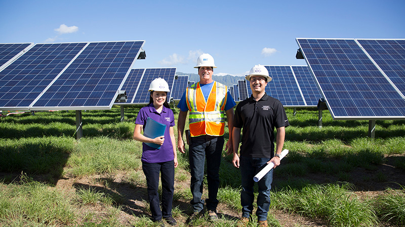Hawaiian Electric staff near a solar project